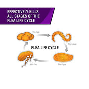 Frontline Plus Pet Insect Treatment for Dogs - 3 doses