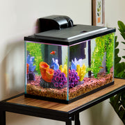 Spectrum Brands Pet Vibrant Life 5 Gallon Aquarium Starter Kit with Scratch-Resistant Glass, LED Lighting, Medium Power Filter
