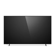 VIZIO 100