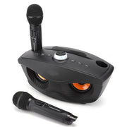 YOUTHINK Home Karaoke Speaker With Two Microphone, Black - Easy to Carry