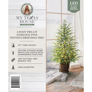 My Texas House 4ft Green Pre-Lit Norfolk Pine Potted Christmas Tree with 100 Warm White Twinkle LED Lights