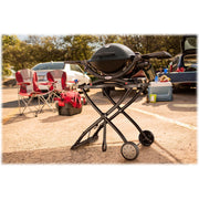 Weber Q 1200 1-Burner Portable Tabletop Propane Gas Grill in Black-51010001