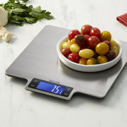 Taylor 3907 22lb Ultra-Precise Digital Stainless Steel Household Kitchen Scale, One, Silver