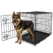 Vibrant Life 34973 Single-Door Folding Dog Crate With Divider, XX-Large, 48
