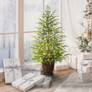 My Texas House 4ft Green Pre-Lit Norfolk Pine Potted Christmas Tree with 100 Warm White Twinkle LED Lights