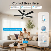 DAYBETTER 52 Inch Ceiling Fan with Lights, WiFi Smart Control, 6-Speed Reversible DC Motor, Dimmable LED Light, Black, JABL318-WUS-D1