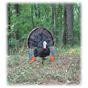 MOJO HW2513 Scoot N Shoot Turkey Decoy, 1 Piece