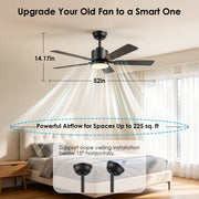 DAYBETTER 52 Inch Ceiling Fan with Lights, WiFi Smart Control, 6-Speed Reversible DC Motor, Dimmable LED Light, Black, JABL318-WUS-D1