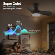 Consciot 30-Inch Flush Mount Ceiling Fan with Dimmable 3-Color LED Light, Remote Control, 6 Speeds, Reversible Quiet DC Motor, Black, CL17004-B-WM