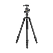 Vanguard Vesta GO 264CB Ultra Lightweight Carbon Fiber Travel Tripod with VEO BH-60 Ball Head (Black)