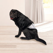 Vibrant Life Washable Dog Wraps for Male Dogs, Large, Super-Absorbent, Leak-Proof, Adjustable Velcro, 3 Count
