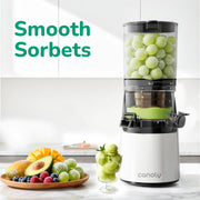 Canoly C16 Cold Press Juicer - 250W AC Brushless Motor for Whole Fruits Batch Juicing, Quiet Slow Juicing, White