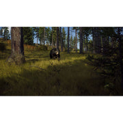 THQ Nordic Way of The Hunter (Xbox Series X)