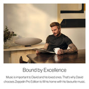 Bowers & Wilkins Zeppelin Pro Edition Wireless Speaker, 240W, 5 Drivers Including Subwoofer, Titanium Dome Tweeters, Space Grey