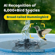 Birdfy Bird Bath Pro Solar Powered Outdoor Bird Bath with 1080P HD Dual-Lens Camera, Round 20-Inch Blue Fountain