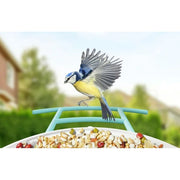 Netvue Bird Feeder with Camera (Lite with Solar)