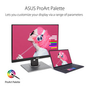 Asus PA248QV 24.1