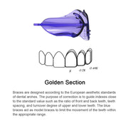 KOHEEL MGM Teeth Straightener with Harmonic Vibration, Orthodontics Retainer and Teeth Aligner Braces