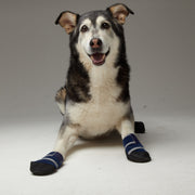 Healers Petcare Medical Dog Booties for Small Dogs, Non-Slip Rubber Sole, blue, S