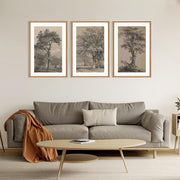 TOARTi Vintage Tree Sketch Wall Art Set, Framed Botanical Canvas Prints, Wood-Like PS Frames, 16x24 in, Set of 3