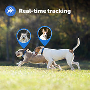 PetSafe Pif00-17804 Guardian GPS Tracking Fence Collar for Dogs