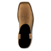 Irish Setter Marshall 11