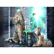 5D DIY Full Diamond Painting Kits Cat Magic Home Decor