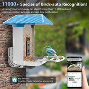 Segmart Smart Bird Feeder with Camera, Solar Powered, AI Identification of 11,000+ Bird Species, 1080P HD Camera, 135 Wide Angle, Night Vision, App Notification