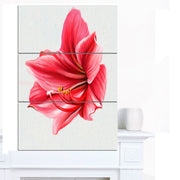 Designart Big Red Flower Sketch On White Large Floral Canvas Artwork 3 Panels - Red