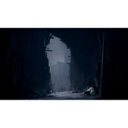 THQ Nordic REANIMAL Horror Adventure Video Game for PlayStation 5, Single Player and Co-op, 94894787