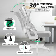 Coolhut Ergonomic Office Chair, Adjustable Dual Lumbar Support, Breathable Mesh, Flip-up Arms, Height Adjustable, Dark Gray