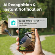 Birdfy Smart Bird Feeder with 1080P HD Camera, 60FPS Video, AI Bird Identification, Night Vision, Cloud Storage, Suet Holder, Brown