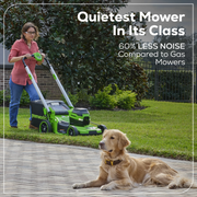 Greenworks 2546502 60V 21