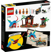 LEGO 6378909 Ninja Dragon Temple Toy Building Kit 161 Pieces, Multicolor