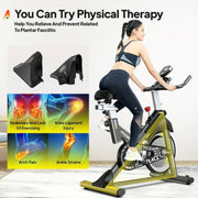 Pooboo D525KM03 Exercise Bike Stationary Bluetooth Indoor Cycling Bike Bicycle Magnetic Resistance Fitness Cycle Cardio Sport Upright