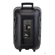 QFX Portable Bluetooth Party Speaker, 12 Inch Woofer, LED Party Lights, Wireless Microphone, USB/TF Player, FM Radio, 5 Band Equalizer, Black, PBX-1206