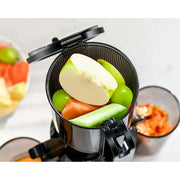 Fretta M1 Slow Masticating Juicer Machines with 4.25