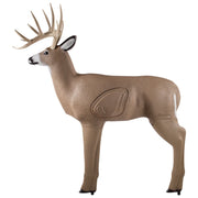 Shooter Crossbow Shooter Buck Archery Target