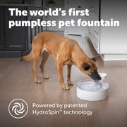 PetSafe Outlast Pumpless Dog Water Fountain, 128 oz, White, Ion-X Filtration, Dishwasher Safe, PWW00-17959