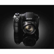 Sony Black DSC-H300/B Digital Camera with 20.1 Megapixels