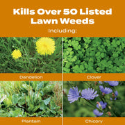 Scotts Turf Builder WinterGuard Fall Weed and Feed Lawn Fertilizer and Weed Killer, 33.84 lb, Covers 12,000 Sq Ft, 22447