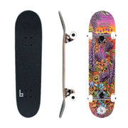 Braille 2Pcs Skateboarding Pro Complete Skateboard, Multicolor - 31 In. x 7.75 In