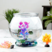 Aqua Culture 99183AC Footed Glass Fishbowl, 1 Gallon