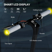 5th WHEEL W16S 300W Electric Scooter with Turn Signal, 8.5
