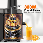 Fylivore Centrifugal Juicer Machine, 800W Motor, Wide 3-Inch Feed Chute, Dual Speed, Stainless Steel Blades, BPA-Free Housing, Silver, FY12