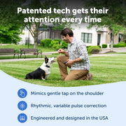 PetSafe Pro Dog Trainer Dog Training Collar with Remote, Waterproof, 1000 ft Range, Tone, Vibration, 19 Static Levels, Adjustable Fit PDT00-18038