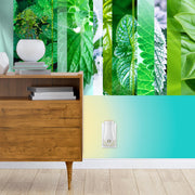 Sc Johnson Glade PlugIns Scented Oil Refills Empower Mint with Essential Oils, 0.67 oz, 2 Count