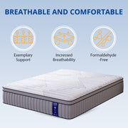 EGOHOME Sleep 14 Inch King Size Hybrid Mattress, Cooling Gel-Infused Memory Foam, Pocket Springs, Medium Comfort