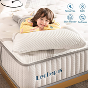 lechepus Queen Mattress 10 Inch Hybrid Foam Mattresses in a Box Pocket Innersprings