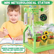 Huge Wave SD336 Kids Gardening Plant Growing Set